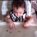 Eliana Approved Vegetable Casserole