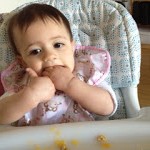 Baby Food Recipes 4/16/12