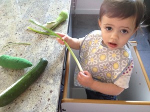 Playing with a toy scallion and a toy zucchini as well as real version, too