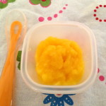 Simple Mango Purée