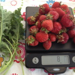 Strawberry Kale Basil Purée