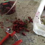 Cherry Rosemary Purée