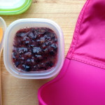 Simple Blueberry Purée