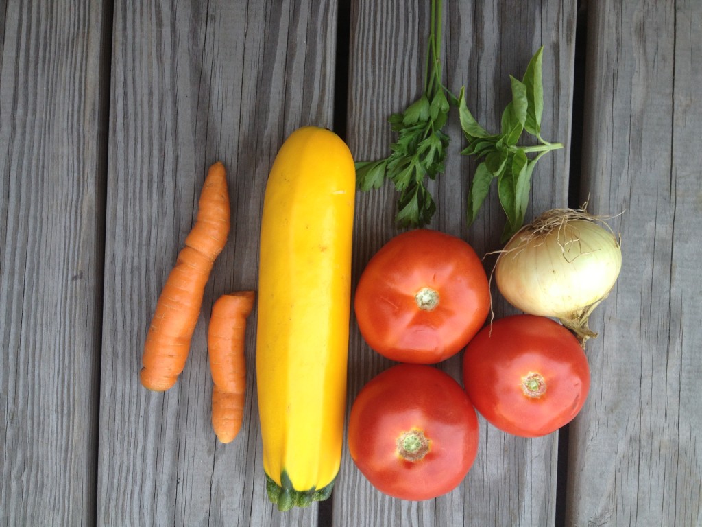 Delicious summer veggies to make a primavera sauce.