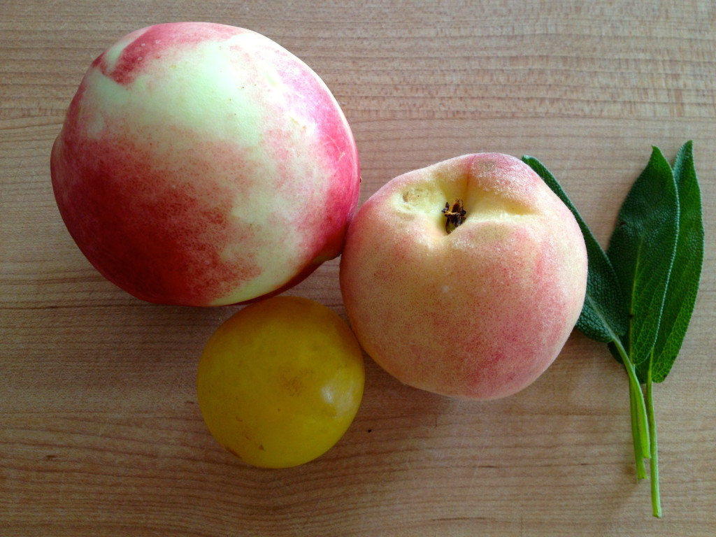 A peach, plum, nectarine and sage ready to be made into Stone Fruit & Sage Puree