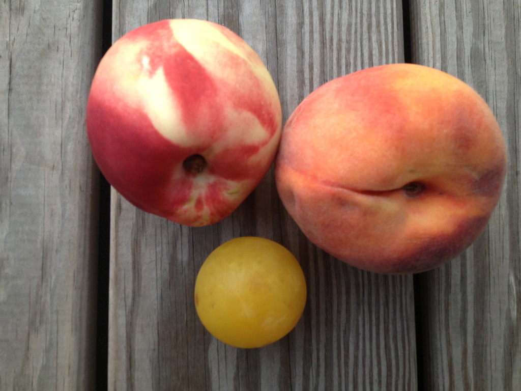 stone fruit for a puree