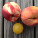 stone fruit for a puree