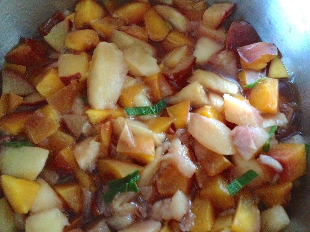 Stone Fruit & Sage cooked down to make into a baby food puree.