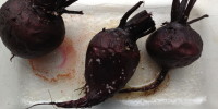 Roasted beets