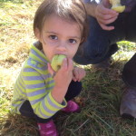An Apple A Day