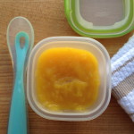 Roasted Pumpkin and Apple Puree