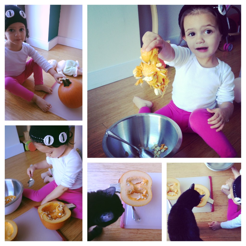 Pumpkin fun with a toddler and a kitty!