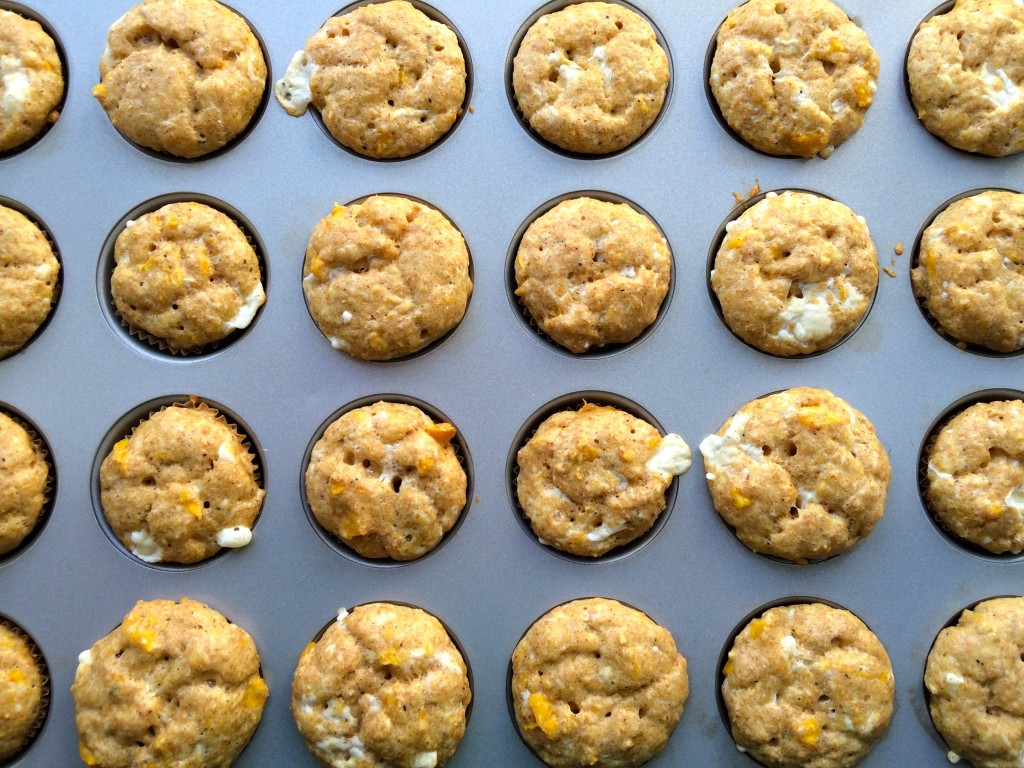 Cheesy Squash Bites