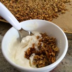 Barely Revised Smitten Kitchen's Big Cluster Maple Granola: Monday Meal