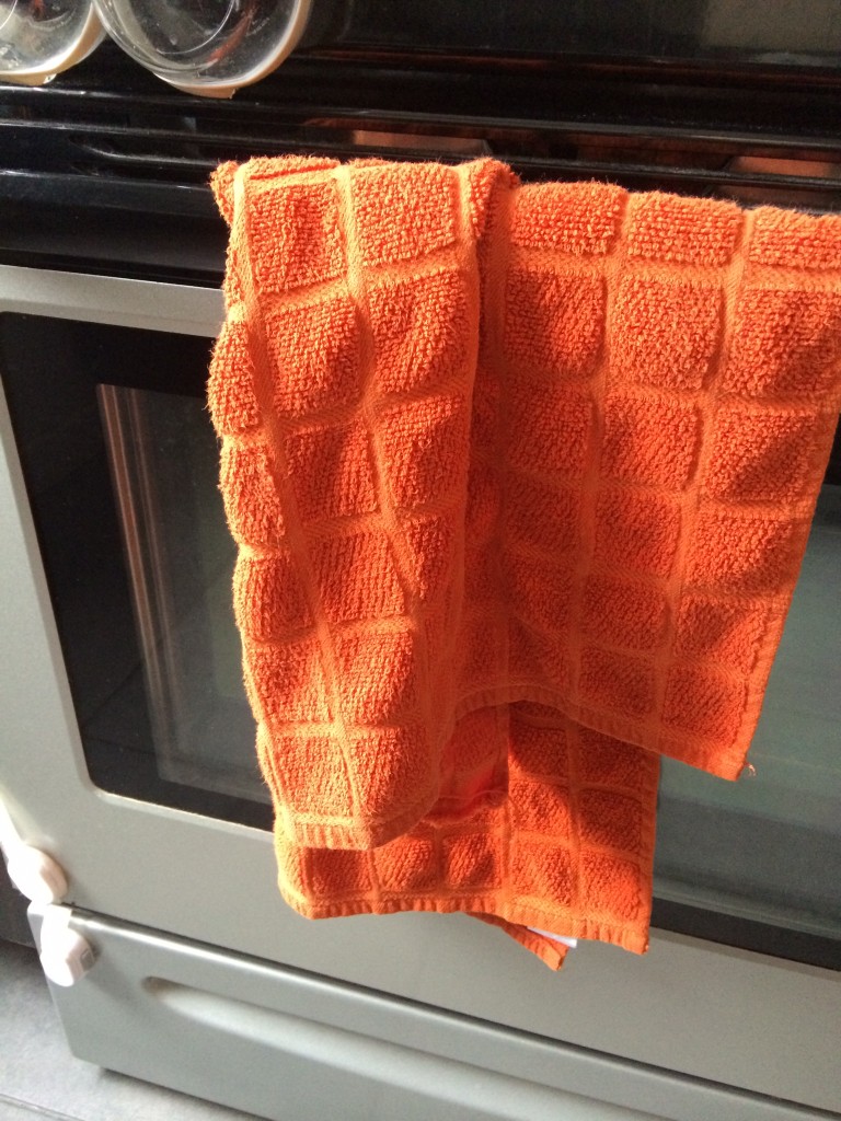 Change your kitchen towel daily and other food safety facts from teeny tiny foodie