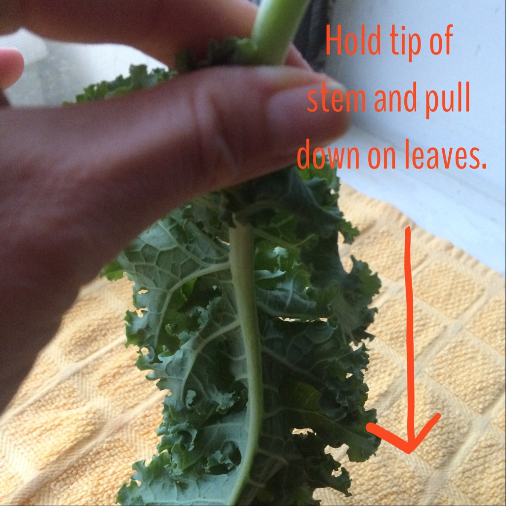 How to remove kale ribs from the leaves from teeny tiny foodie
