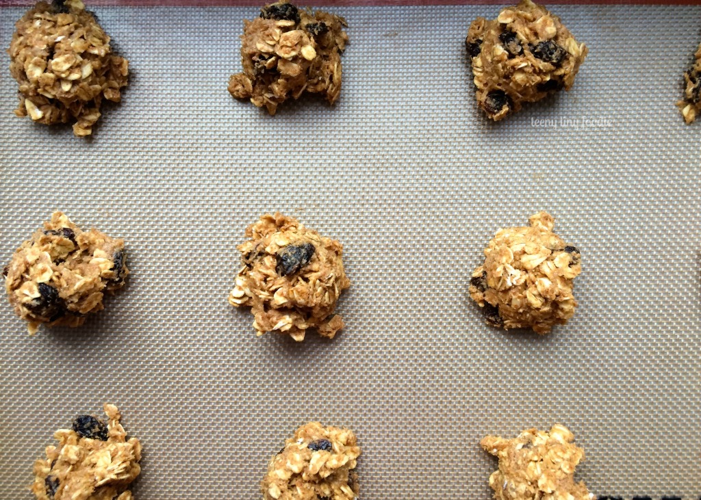 Oatie Cookie Bites from teeny tiny foodie